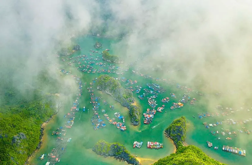 floating village in lan ha bay