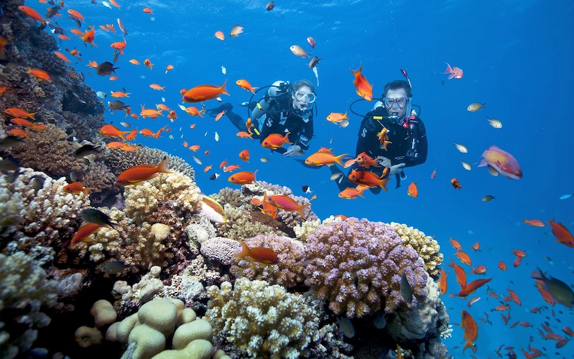 snorkeling in con dao