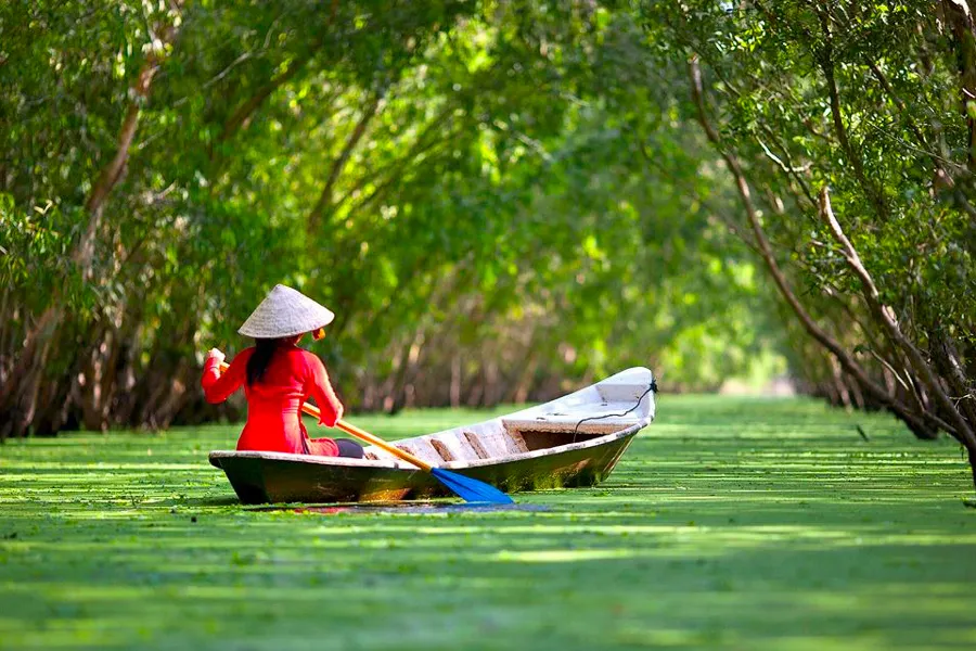 things to do in mekong delta tra su forest