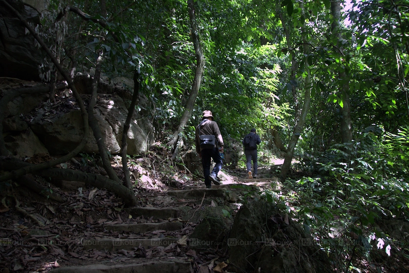 ninh binh what to see cuc phuong national park