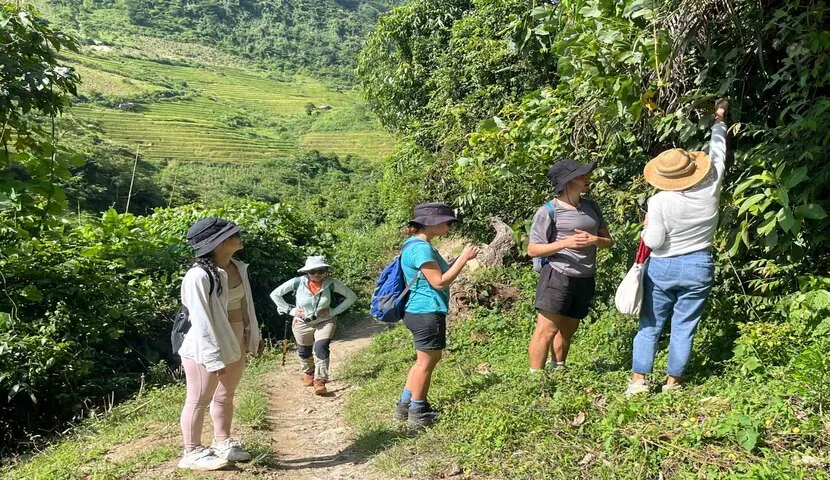things to do in vietnam hiking trekking