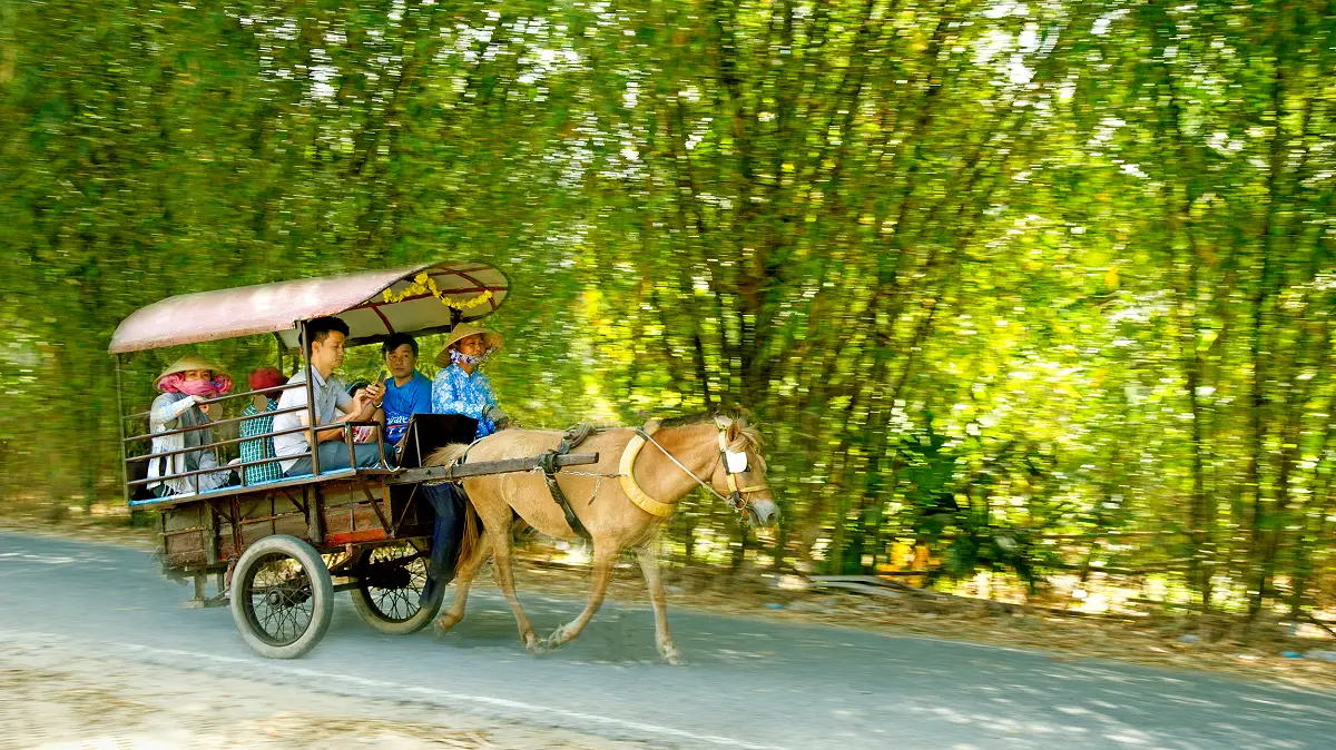 giro in carrozza cavallo su thoi son mekong