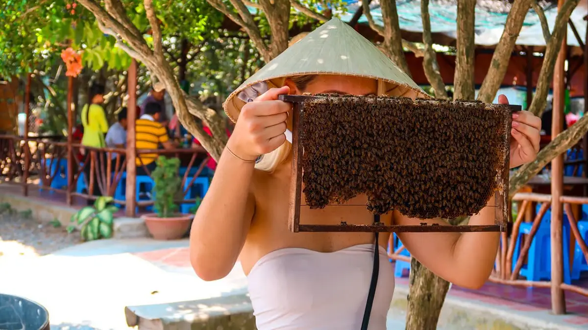 l'apicoltura dell'isola di thoi son 