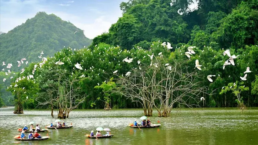 thung nham ninh binh