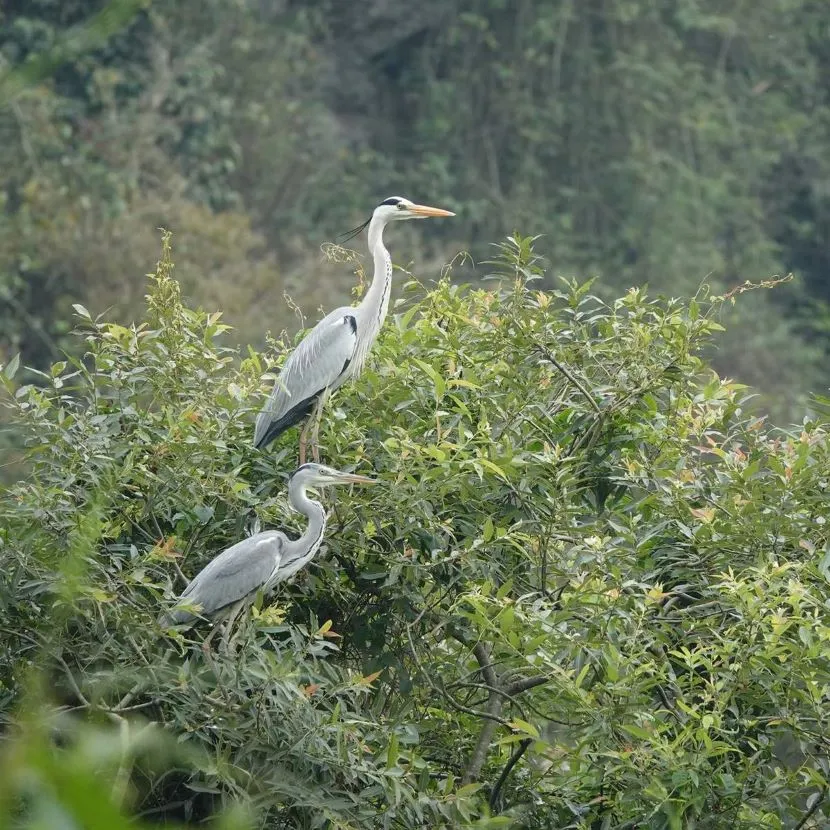 animals in thung nham bird park