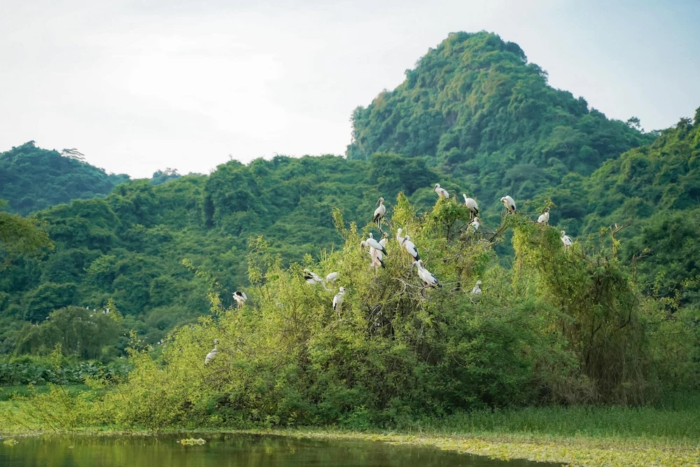 winter in ninh binh thung nham