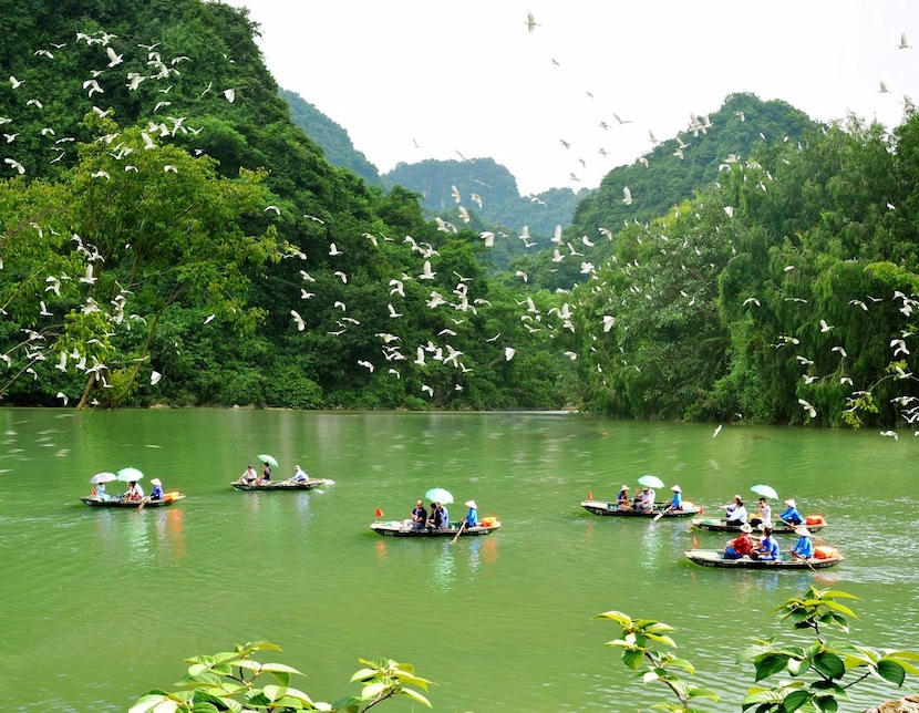 thung nham bird park