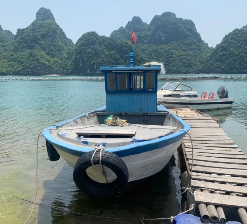 the port at tra ngo island bai tu long national park