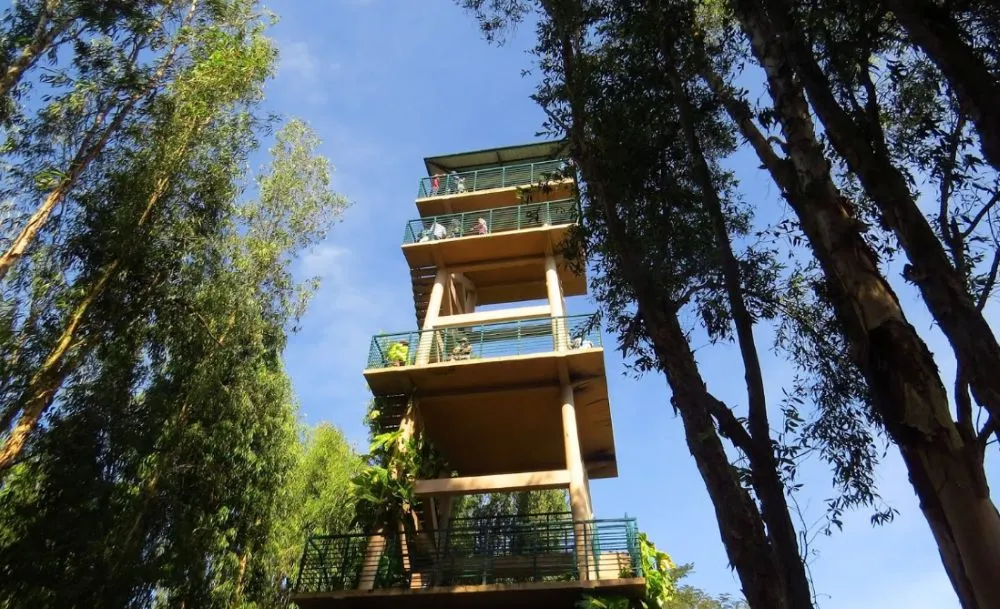 tra su observation tower