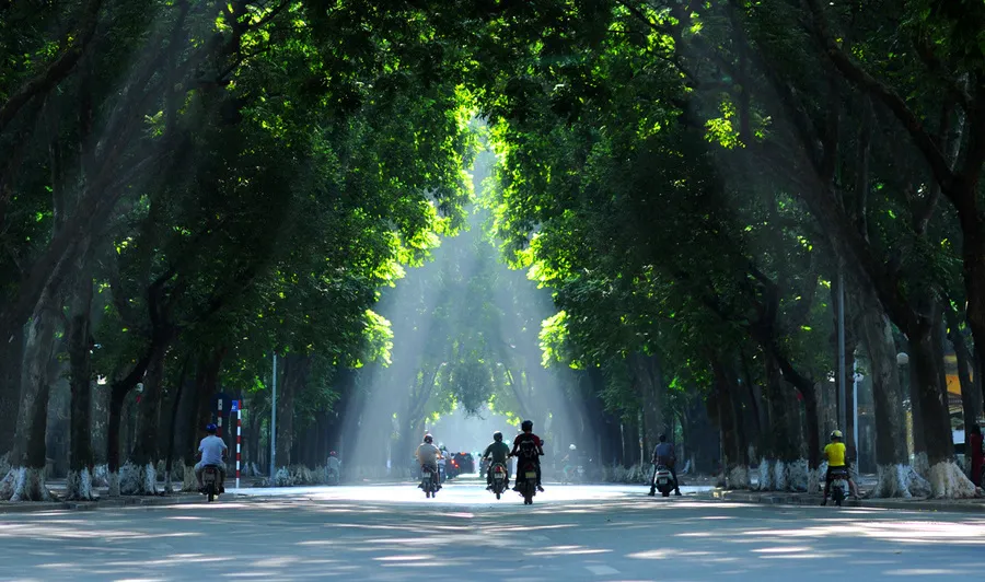 transportation in vietnam street