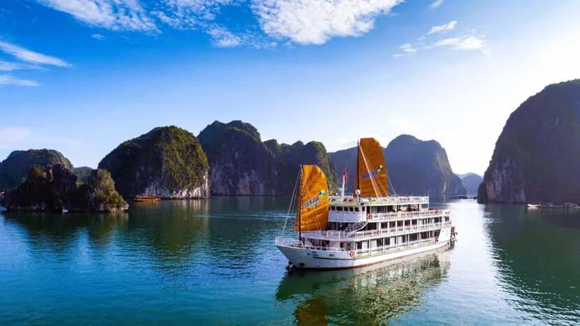 unicharm croisiere