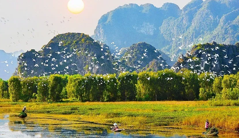 van long ninh binh