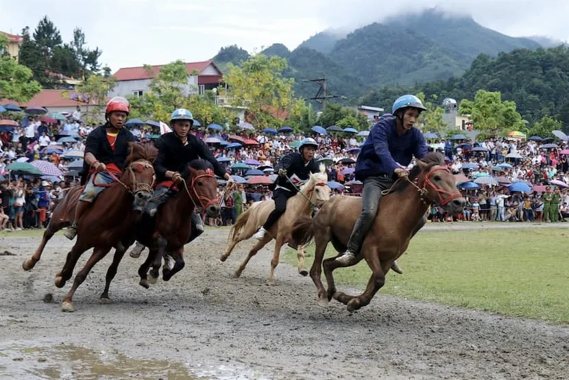 vietnam bac ha market festival