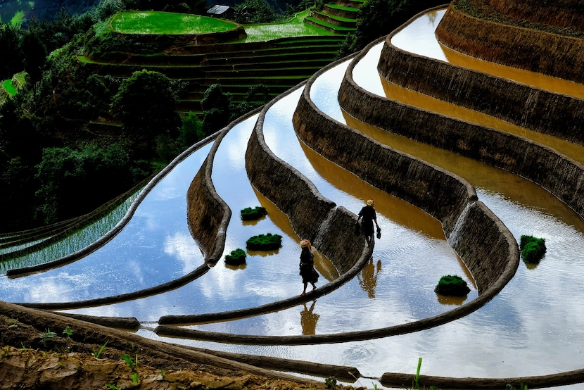 mu cang chai vietnam in may