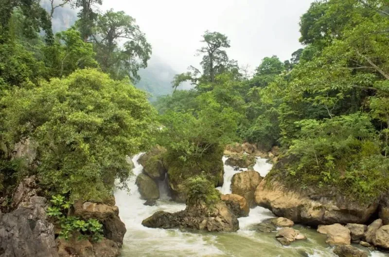 vietnam national park ba be