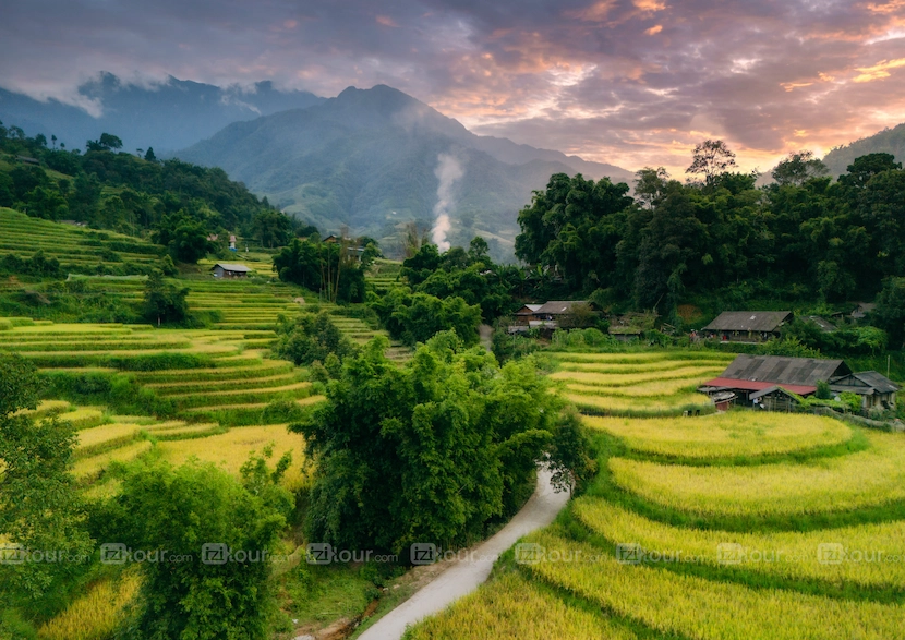 terraced field vietnam