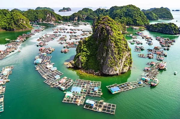 vietnam tourist places lan ha bay