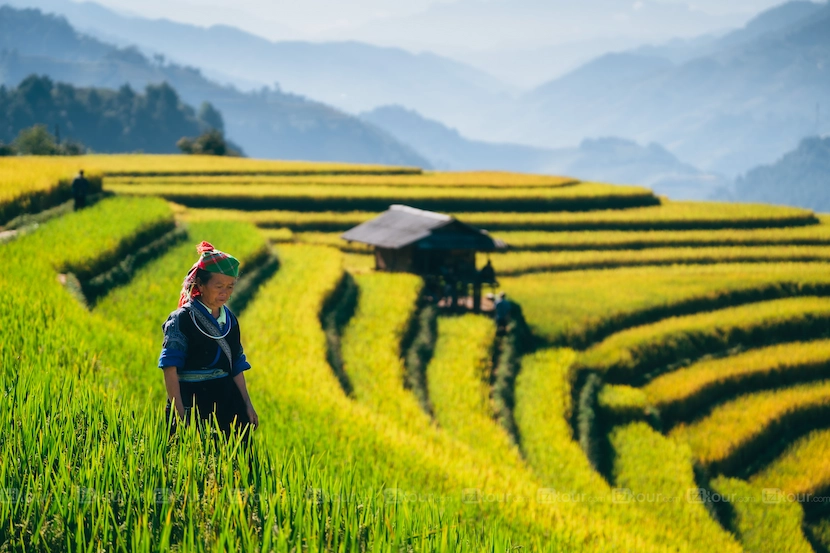 northwest vietnam mountain destination