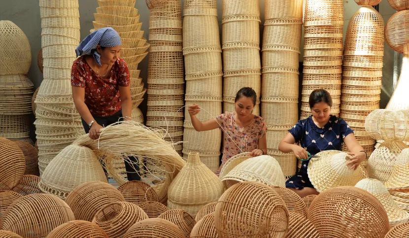phu vinh rattan weaving village