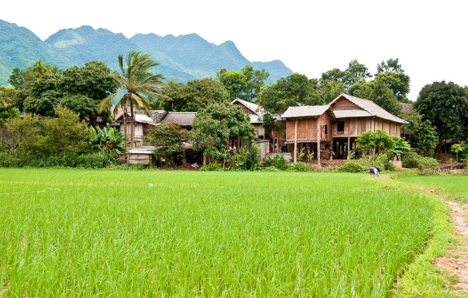 mai chau