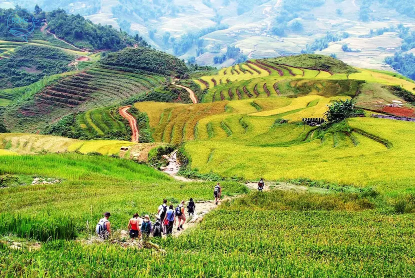 riziere vietnam ta van sapa