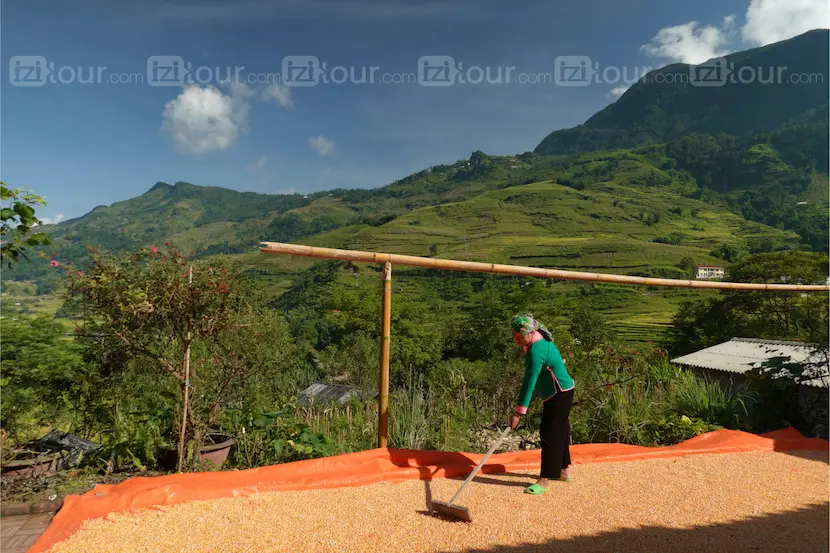 ethnic minority giay people in ta van