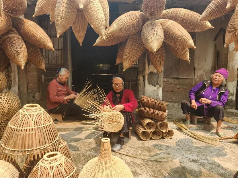 village traditionnel piège poisson vietnam