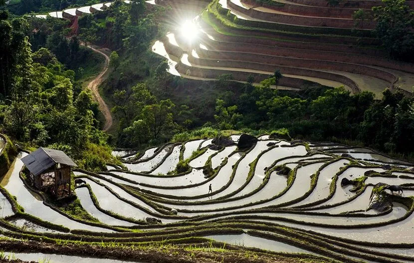 villaggi autentici ha giang stagione d'acqua terrazzamenti di riso