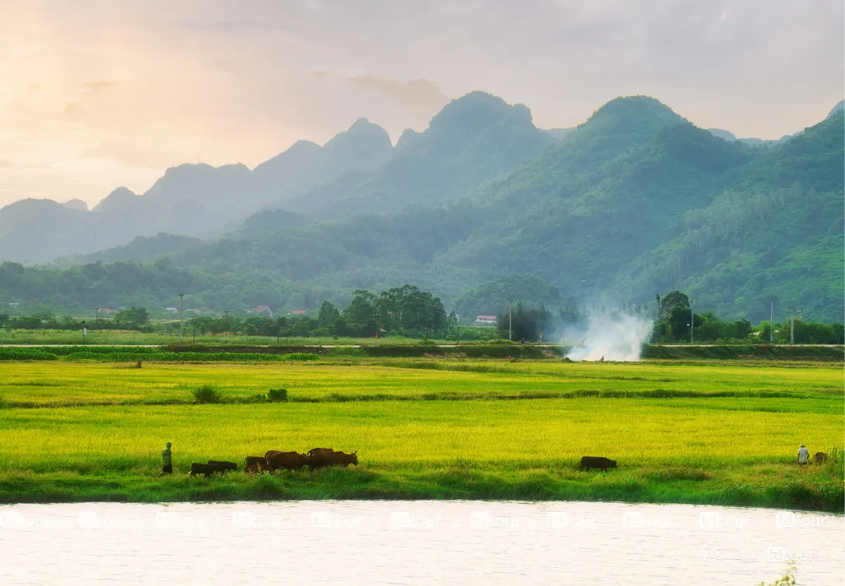 matin a van long ninh binh