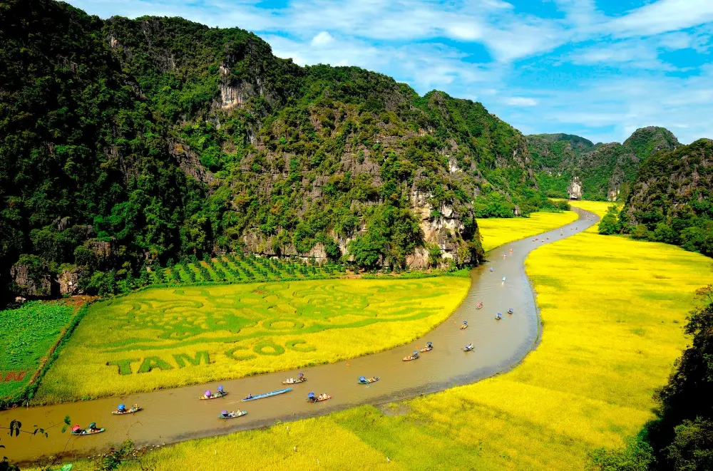 Best time to visit Vietnam