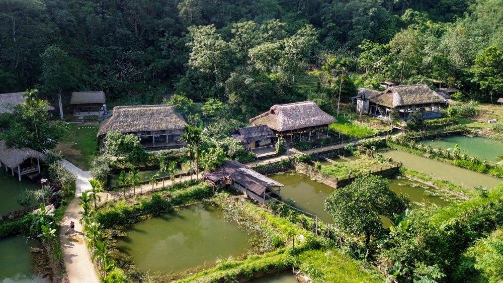 Wooden bungalow homestay overlooking rice fields and mountains in Lam Thuong
