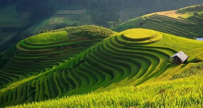 voyage photo vietnam mu cang chai