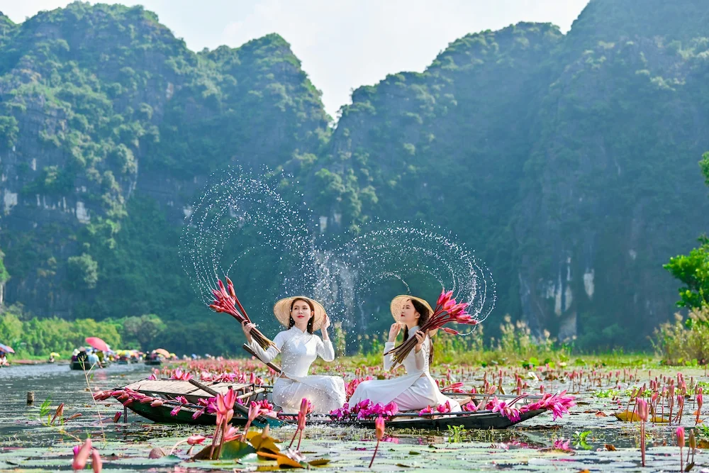 ninh binh december water lily