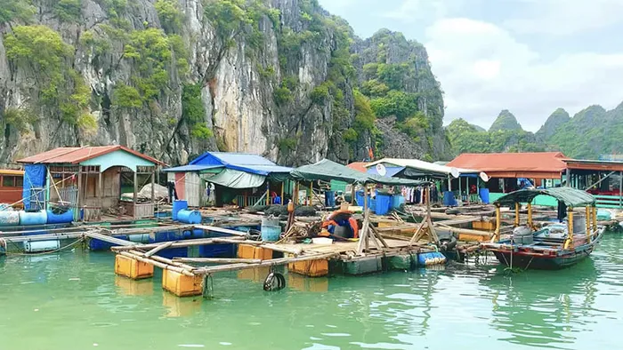 best things to do in cat ba fishing village