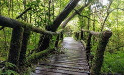 Doi Inthanon Chiang Mai