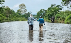 Dak Lak Ethical Elephant Experience