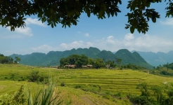 Pu Luong