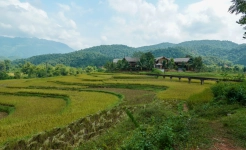 Mai Hich Mai Chau