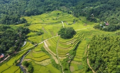 Ban Bang Mai Chau