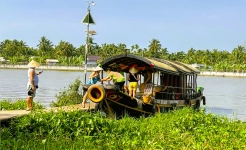Mango Day Cruiser - Ben Tre