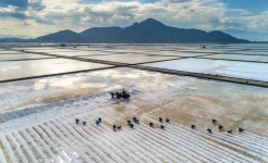 Phuong Cuu & Dam Vua Salt Fields