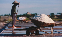 Phuong Cuu & Dam Vua Salt Fields