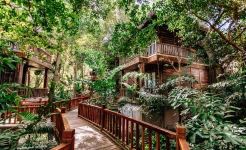 Ocean Bay Resort - Premium Jungle Bungalow