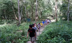 Phong Nha - Botanic Forest