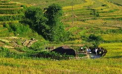 Sapa - Hau Thao Village