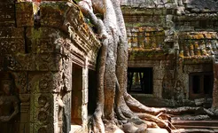 Siem Reap - Taphrom temple