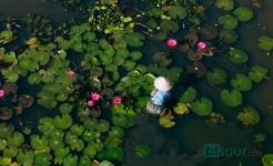 Tam Coc