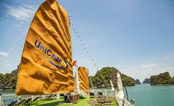 Unicharm Cruise - Sundesk