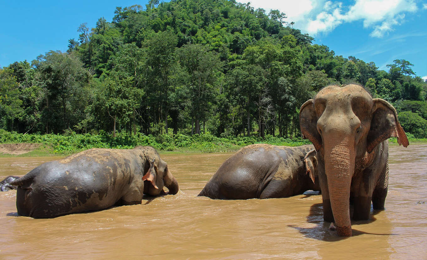 Chiang Mai