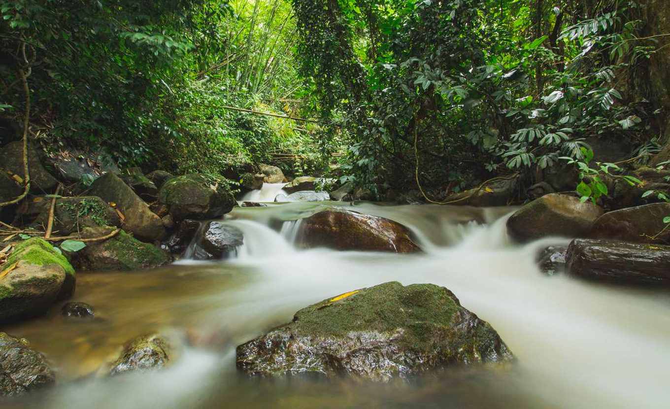 Chiang Rai